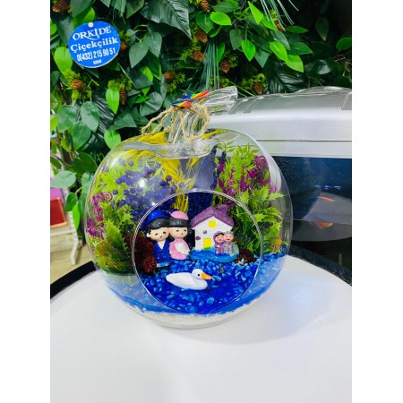 Terarium elma orta boy 