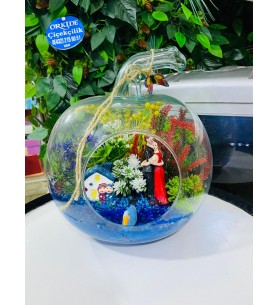 Terarium elma orta boy 
