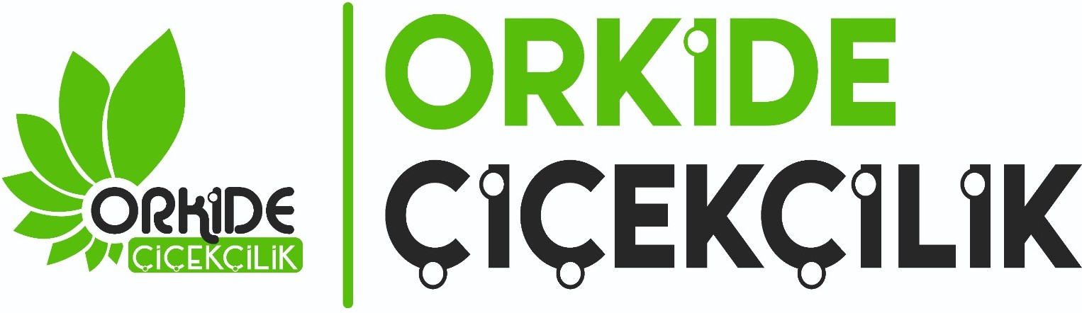 https://www.instagram.com/vanorkidecicekcilik/